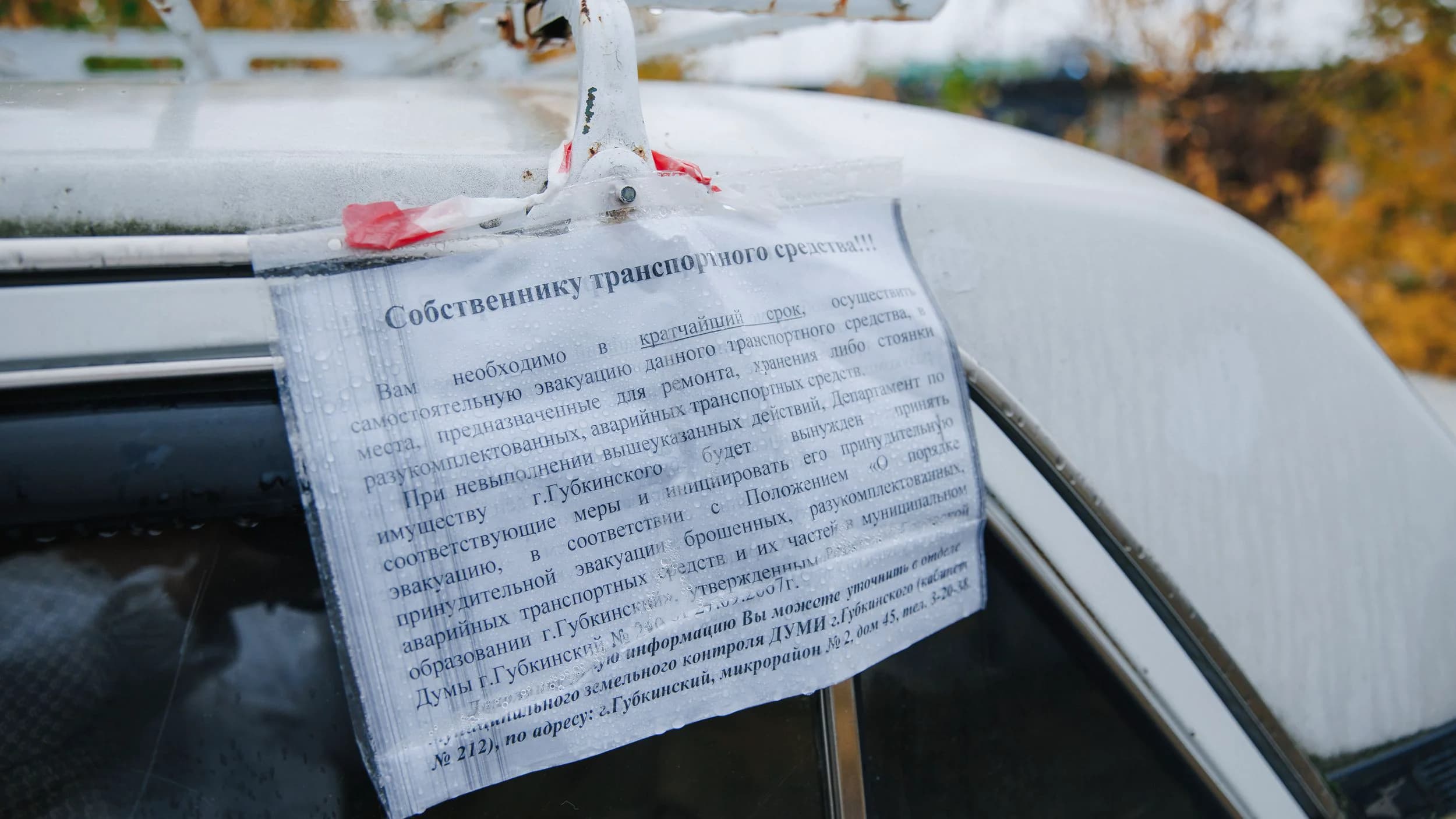 Уведомление от ДУМИ | Фото: Алина Дьякова / «Ямал-Медиа»
