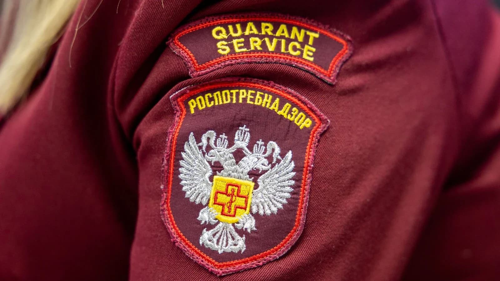 Грипп и ОРВИ: Роспотребнадзор открыл горячую линию